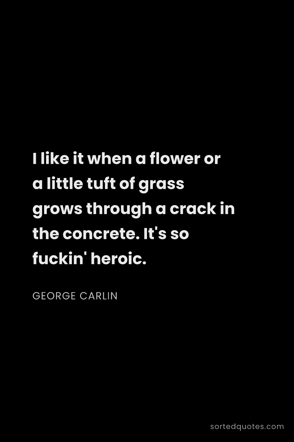 Quote by George Carlin: "I like it when a flower or a little tuft of grass ..."