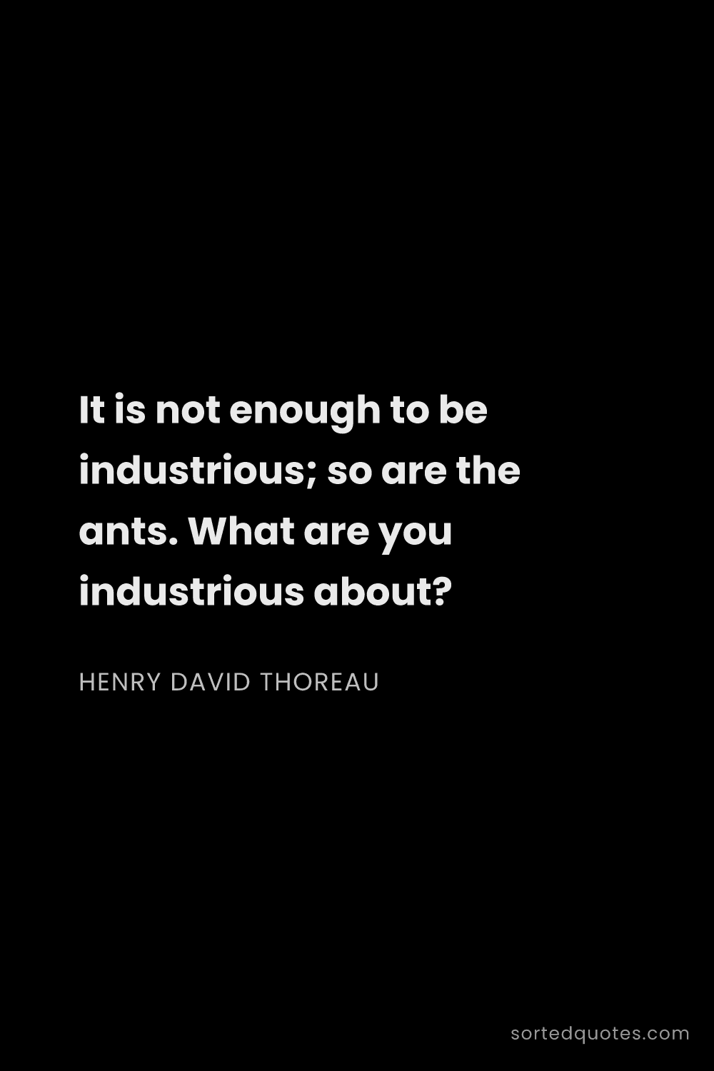 Quote by Henry David Thoreau: "It is not enough to be industrious; so are the ant..."