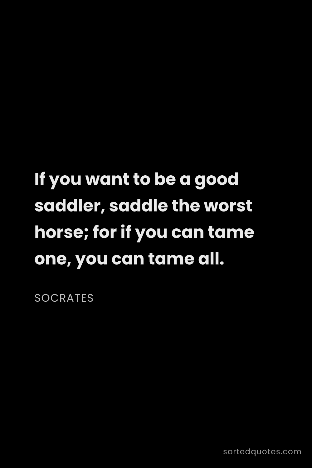 Quote by Socrates: "If you want to be a good saddler, saddle the worst..."