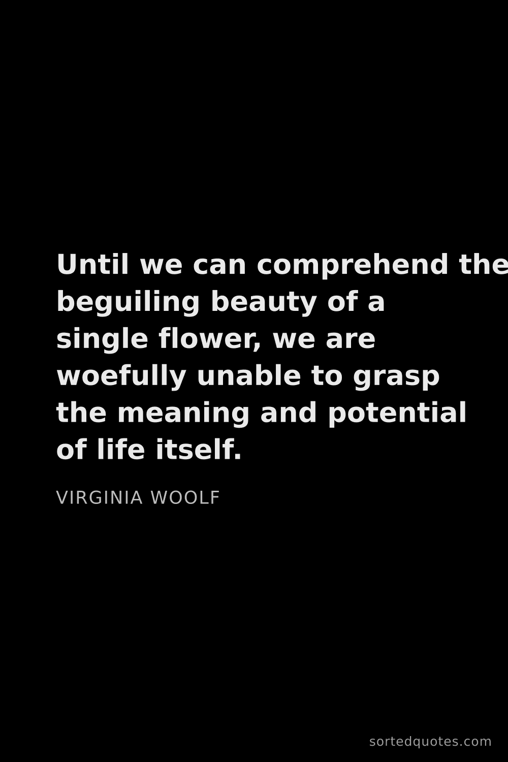 Quote by Virginia Woolf: "Until we can comprehend the beguiling beauty of a ..."